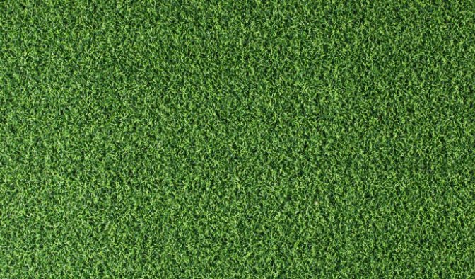 Artificial Turf