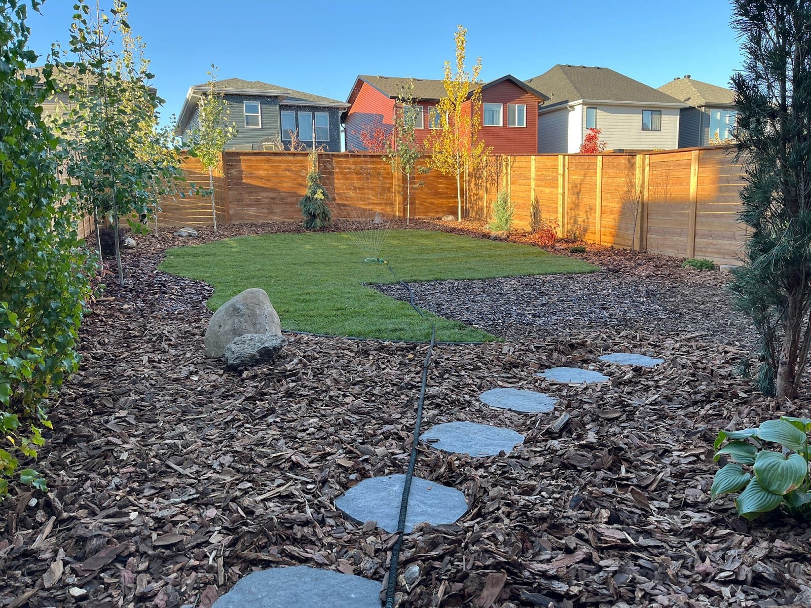 Backyard with new lawn, mulch beds, stepping stones and cedar fence