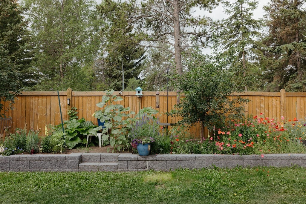 Planting beds along a cedar fence with lawn
